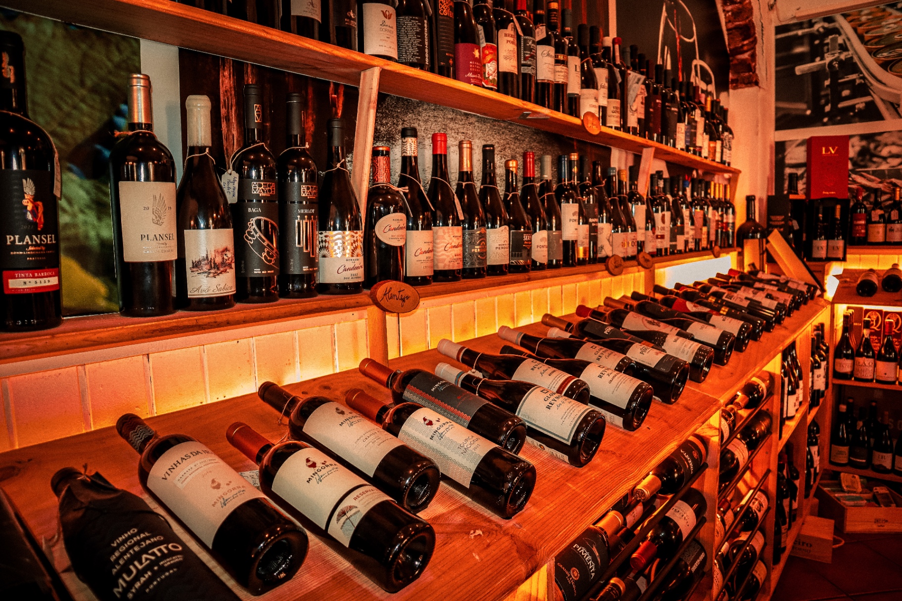 Seleção de vinhos tintos numa estante comprida